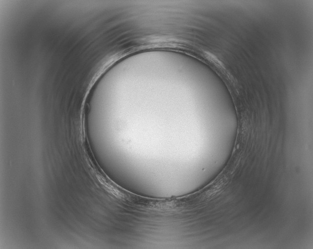 X0000054361370200508191808