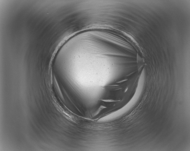 X0000054361371200508191808