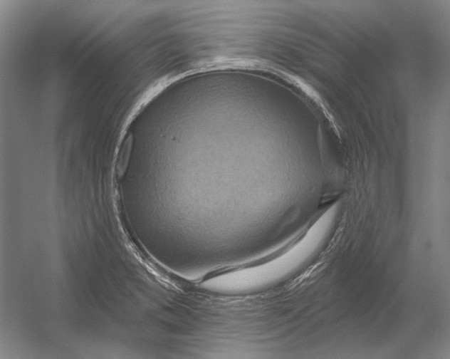 X0000054361373200508191808
