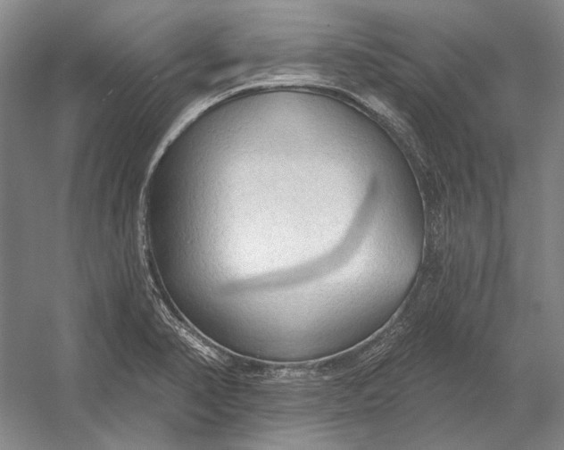 X0000054361374200508191808