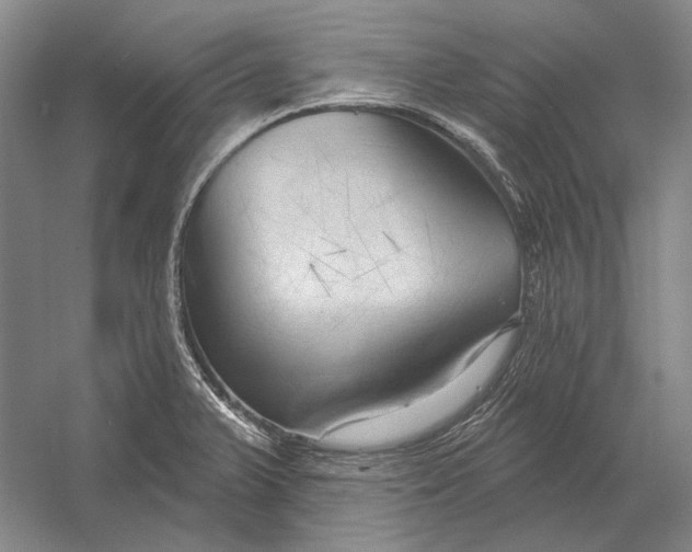 X0000054361375200508191808