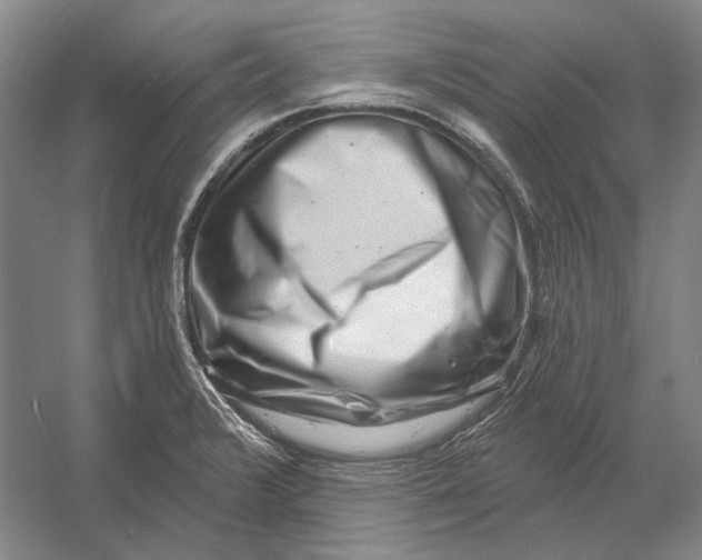X0000054361376200508191808