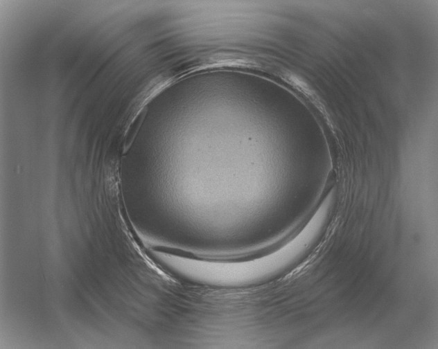X0000054361377200508191808