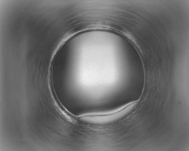 X0000054361379200508191808