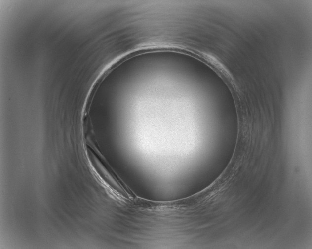 X0000054361380200508191808