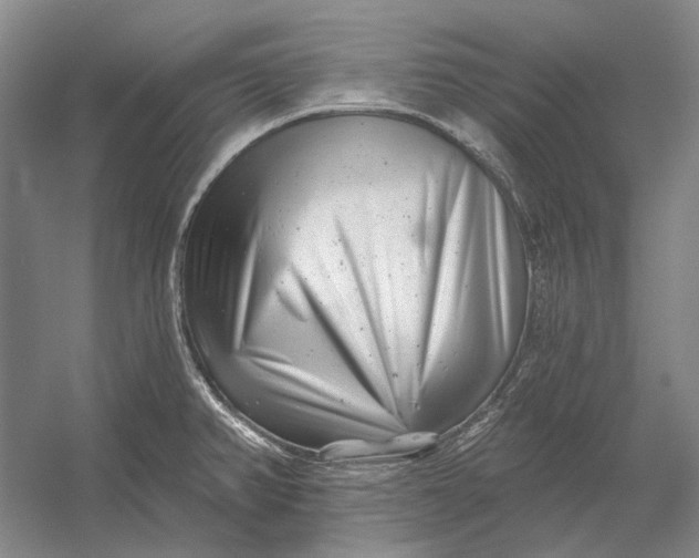 X0000054361382200508191808