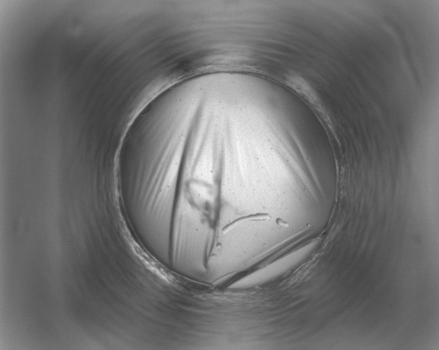 X0000054361386200508191808