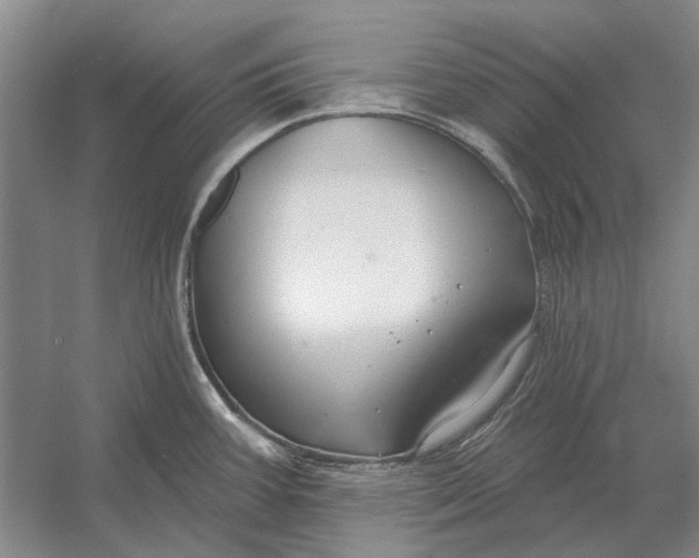 X0000054361387200508191808