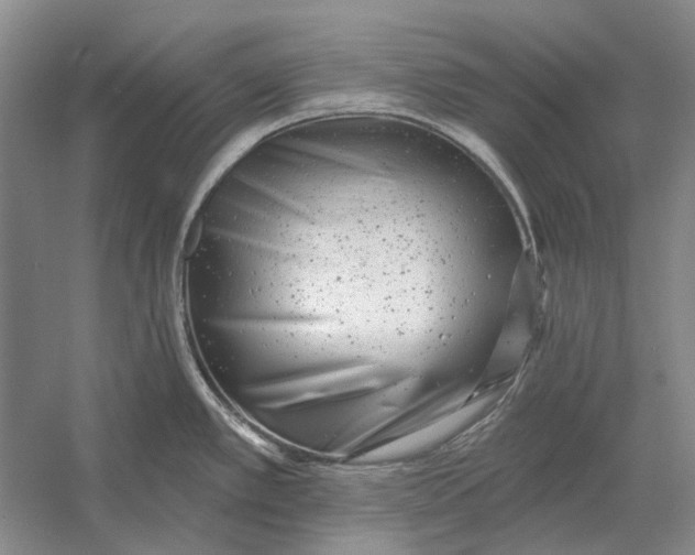 X0000054361389200508191808