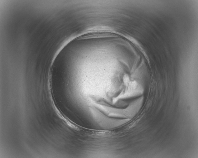 X0000054361390200508191808