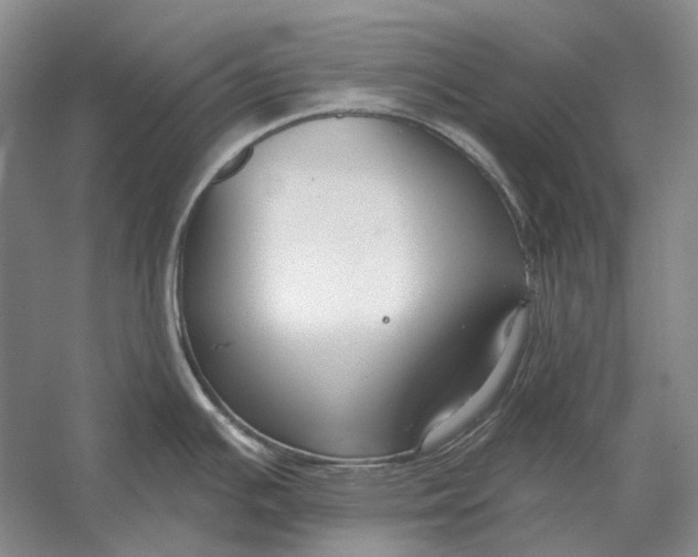 X0000054361391200508191808