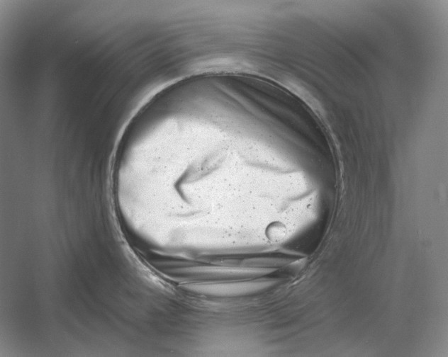X0000054361392200508191808