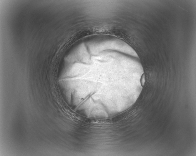 X0000054361393200508191807