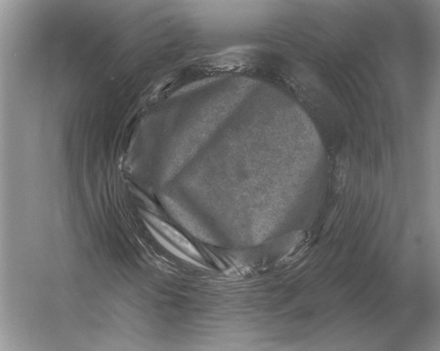 X0000054361394200508191807