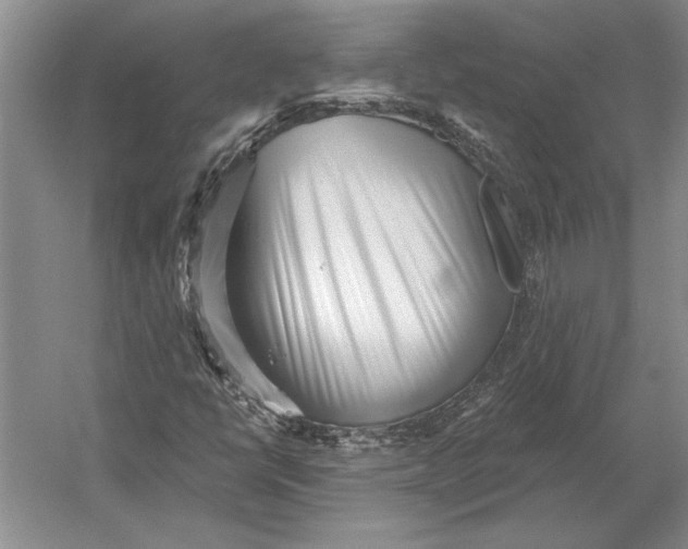 X0000054361398200508191807