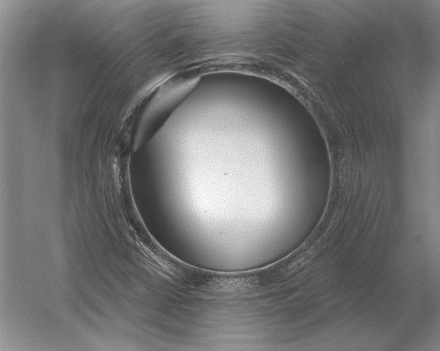 X0000054361402200508191807
