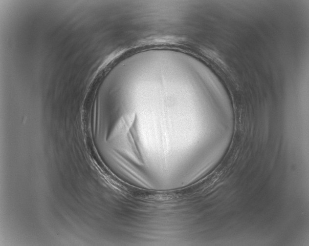 X0000054361404200508191807