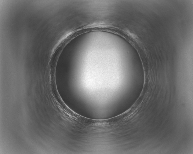 X0000054361406200508191807