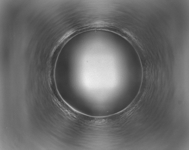 X0000054361410200508191807