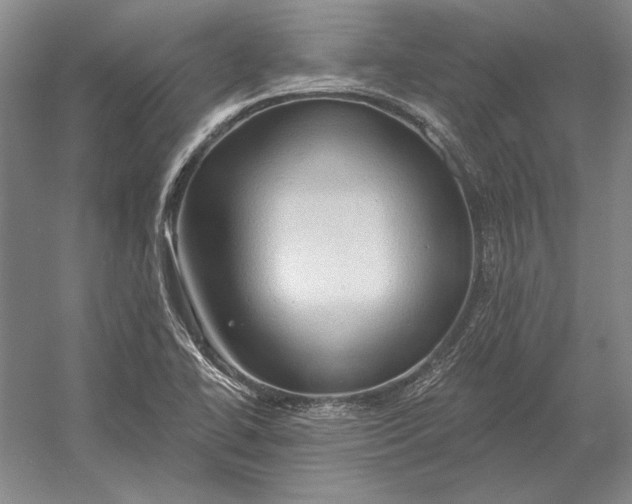 X0000054361414200508191807