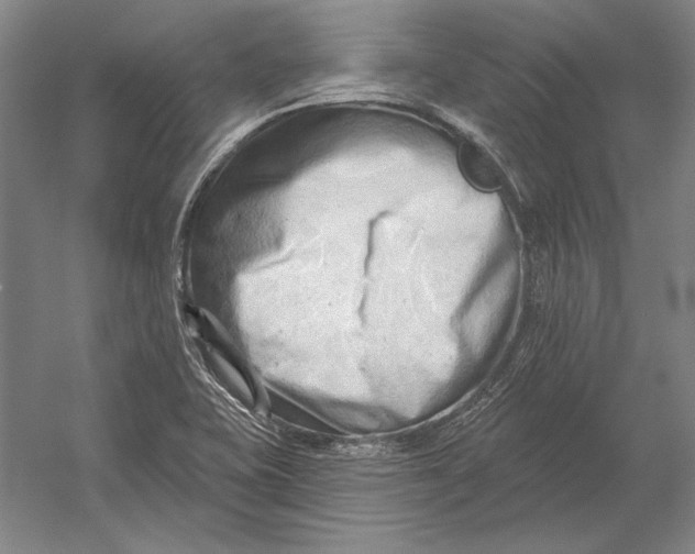 X0000054361415200508191807