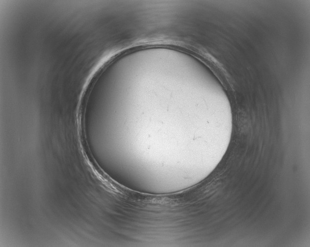 X0000054361416200508191807