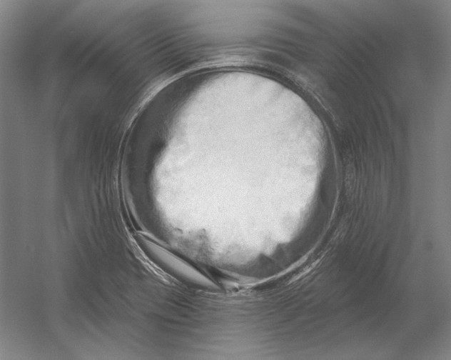 X0000054361417200508191807
