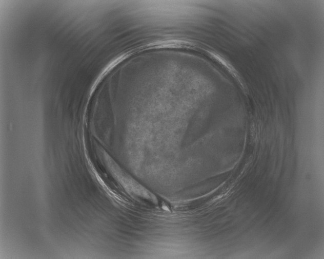 X0000054361418200508191807