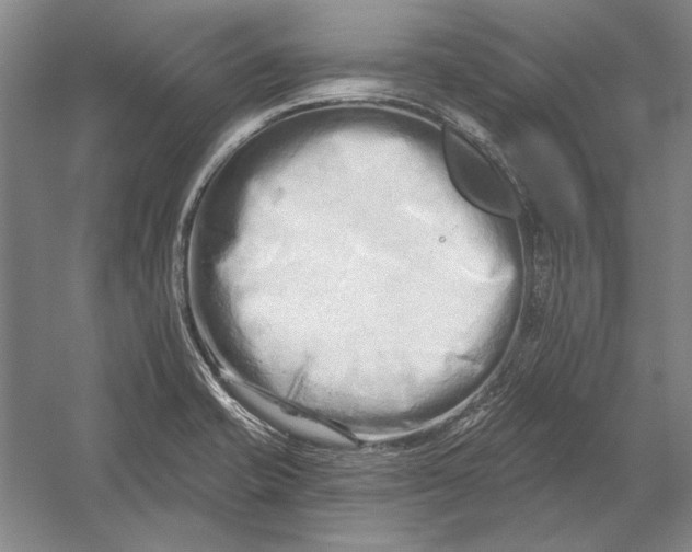 X0000054361421200508191807