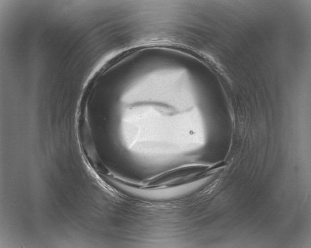 X0000054361422200508191807