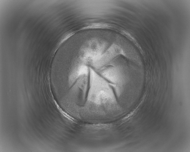 X0000054361425200508191808