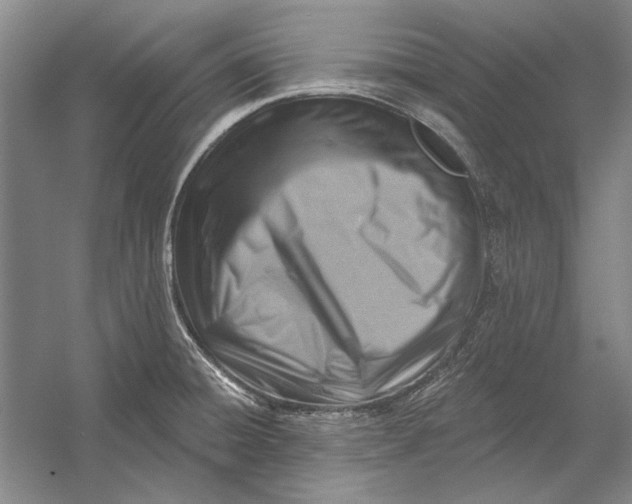 X0000054361428200508191808