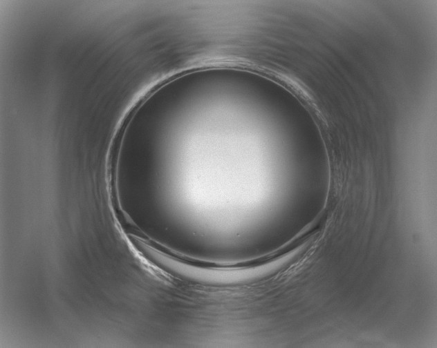 X0000054361430200508191808