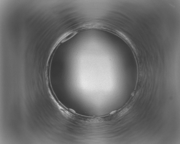 X0000054361434200508191808