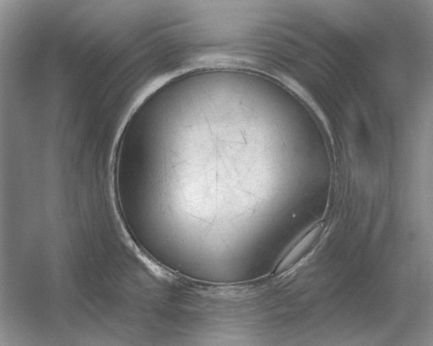 X0000054361437200508191808