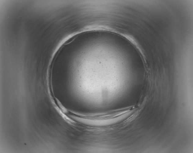 X0000054361438200508191808
