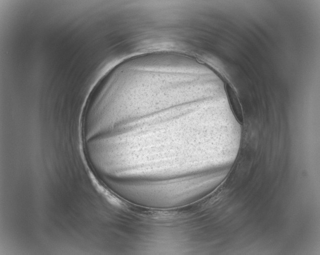 X0000054361439200508191808