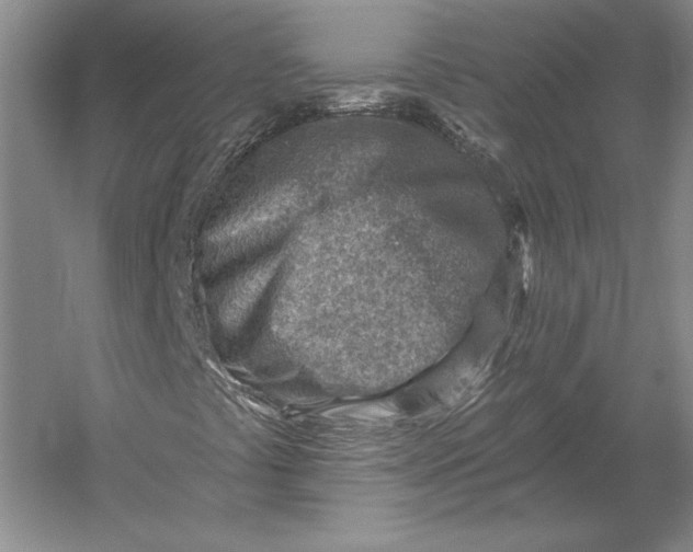 X0000054361441200508191807