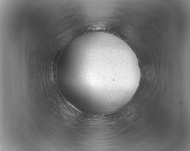 X0000054361442200508191807