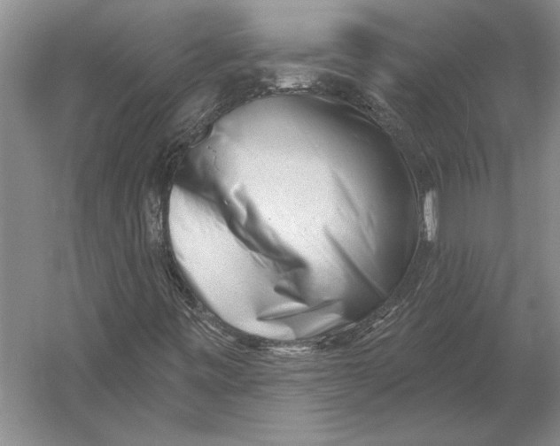 X0000054361443200508191807