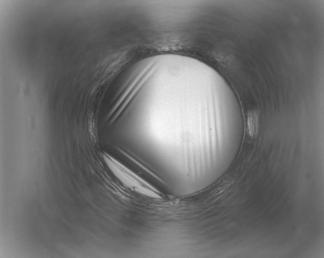 X0000054361444200508191807