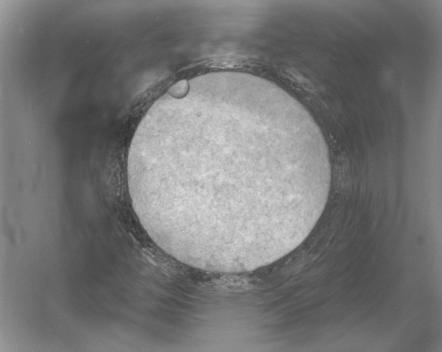X0000054361446200508191807