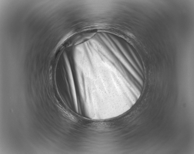 X0000054361450200508191807