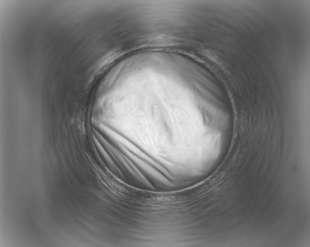 X0000054361451200508191807