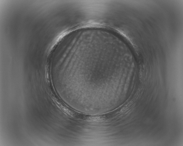 X0000054361455200508191807