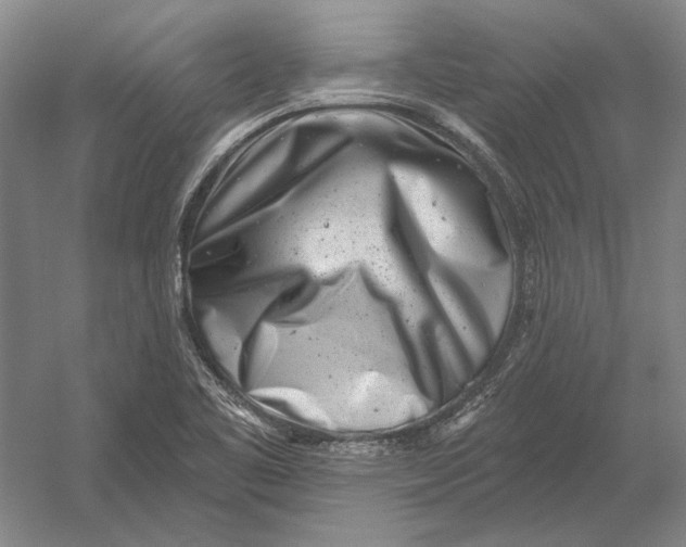 X0000054361461200508191807