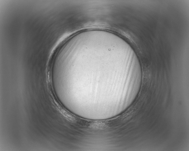 X0000054361462200508191807