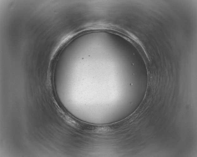 X0000054361464200508191807