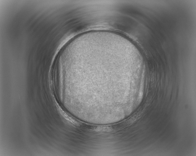 X0000054361466200508191807