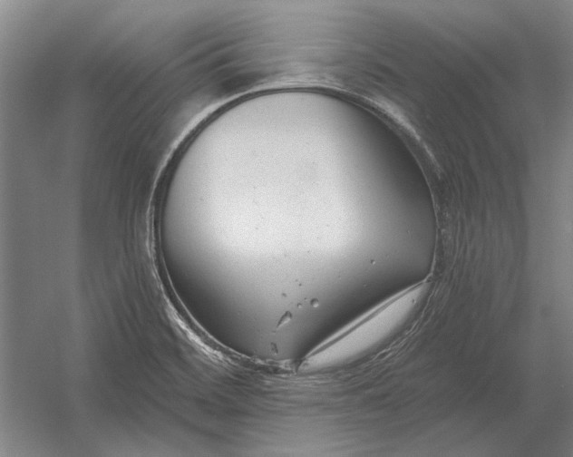 X0000054361468200508191807